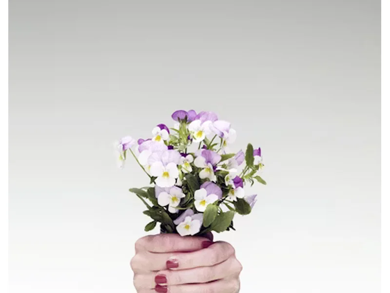 pelvic health without shame
